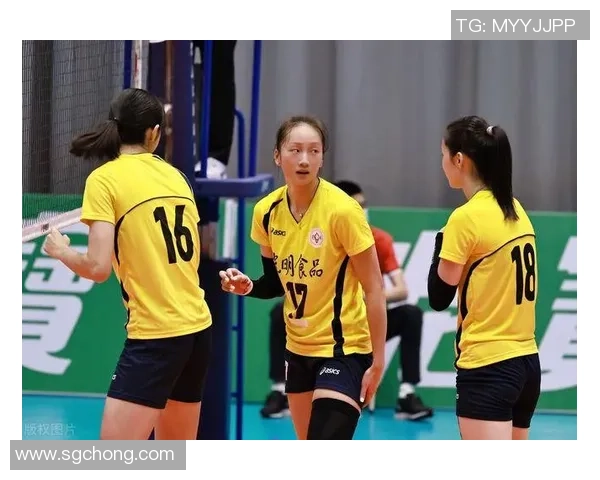 上海排球队在城市联赛中的节奏掌控与表现分析 上海排球队在城市联赛中的节奏掌控与表现分析