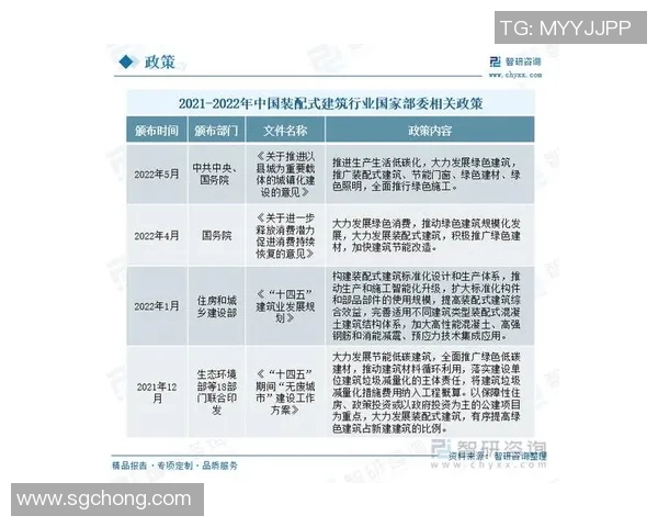 上海排球队运营揭秘:从管理策略到市场推广的全景分析