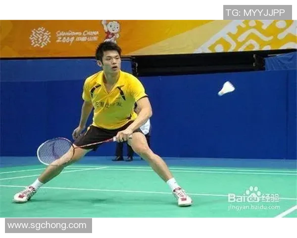 南京羽毛球队战术分析与表现评估全面解读