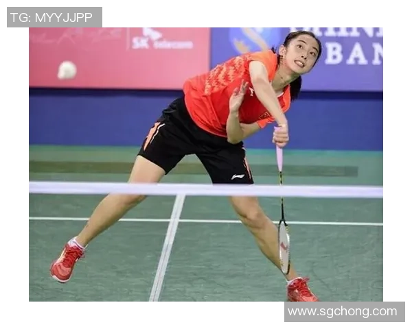 杭州羽毛球队挑战赛表现分析与状态评估全面解读